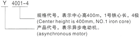 西安泰富西玛Y系列(H355-1000)高压YR4003-6三相异步电机型号说明